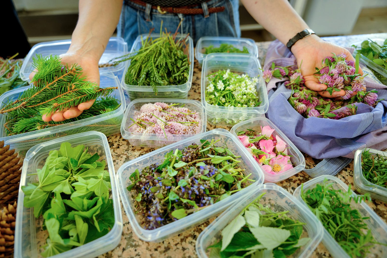 Photographe gastronomie en Lozère - Jean-Sébastien Caron