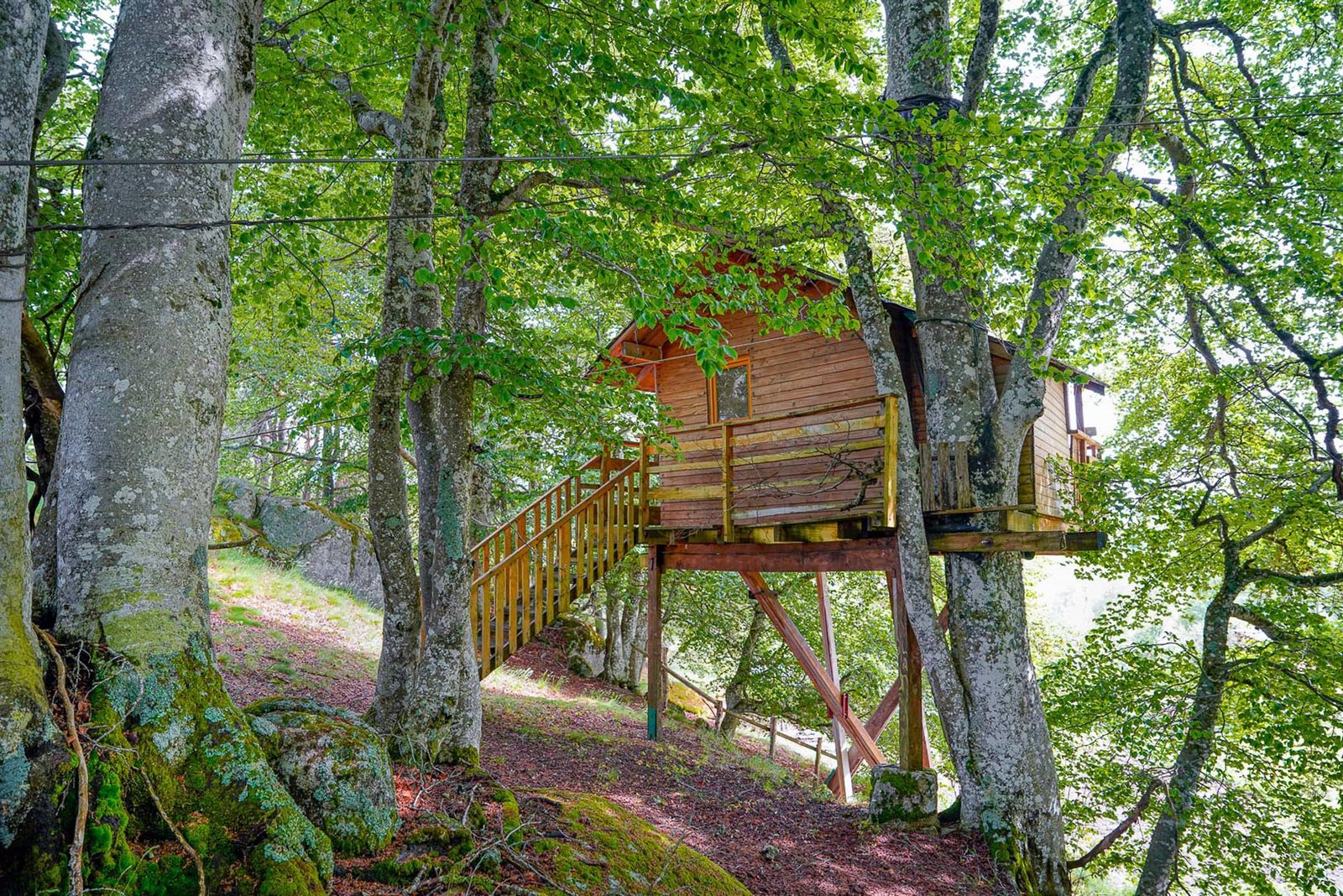 Photographe hébergement insolite en Lozère