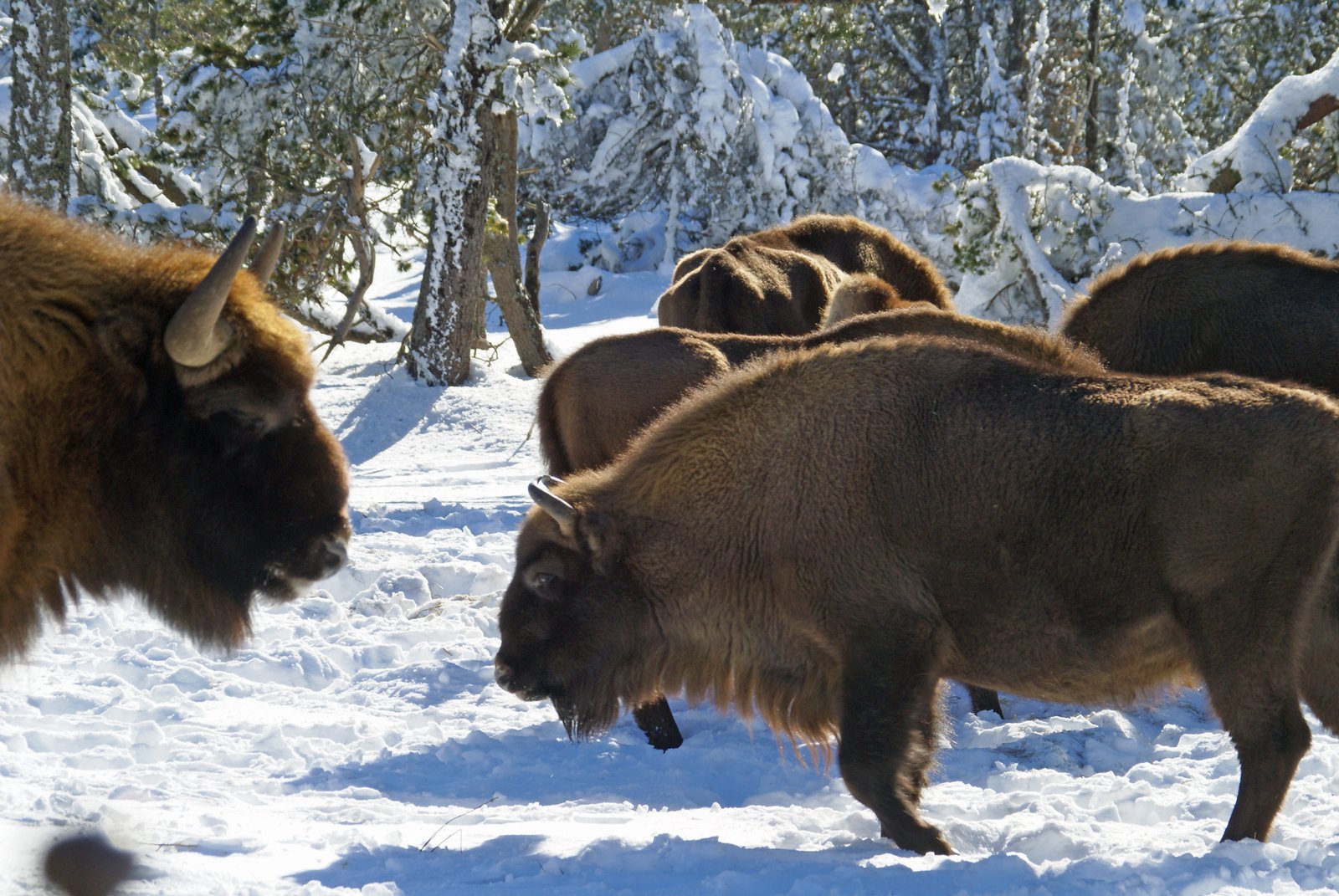 Photographe tourisme Lozère - Jean Sébastien Caron