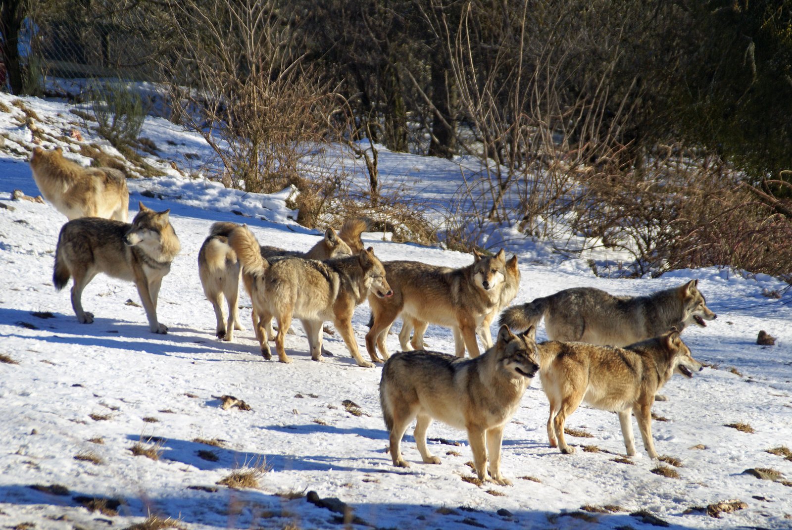 Photographe tourisme Lozère - Jean Sébastien Caron