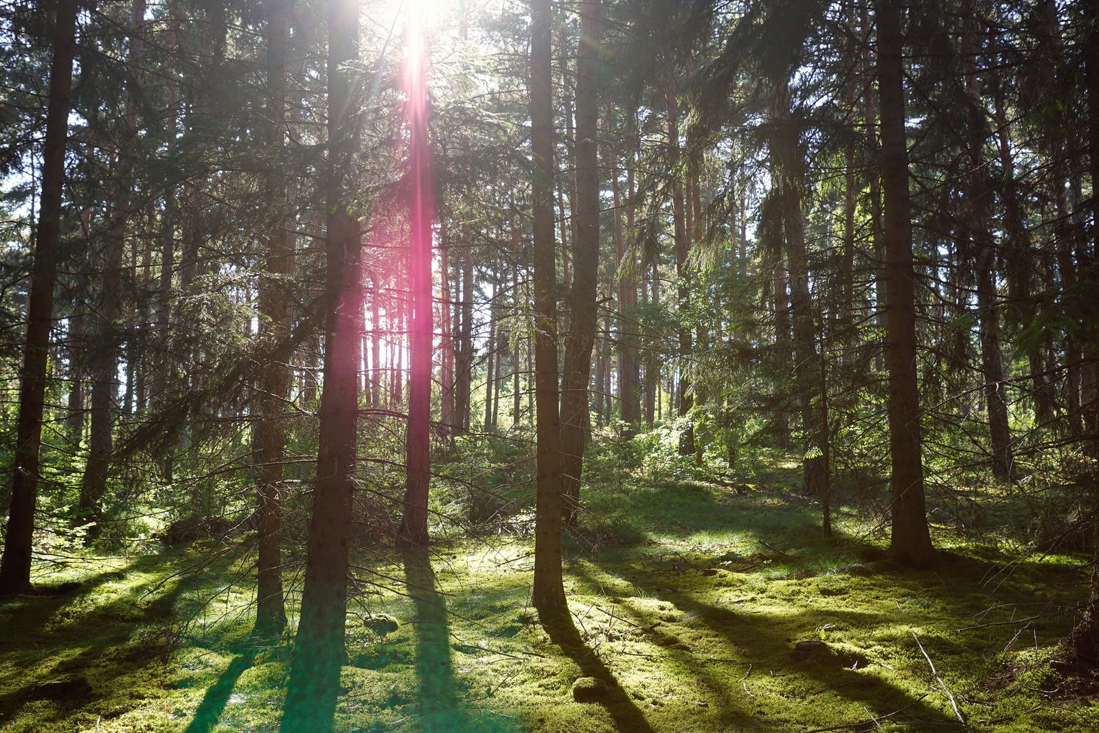 Photographe tourisme Lozère - Jean Sébastien Caron