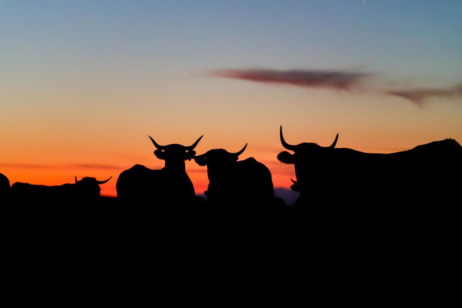 Photographe tourisme Lozère - Jean Sébastien Caron