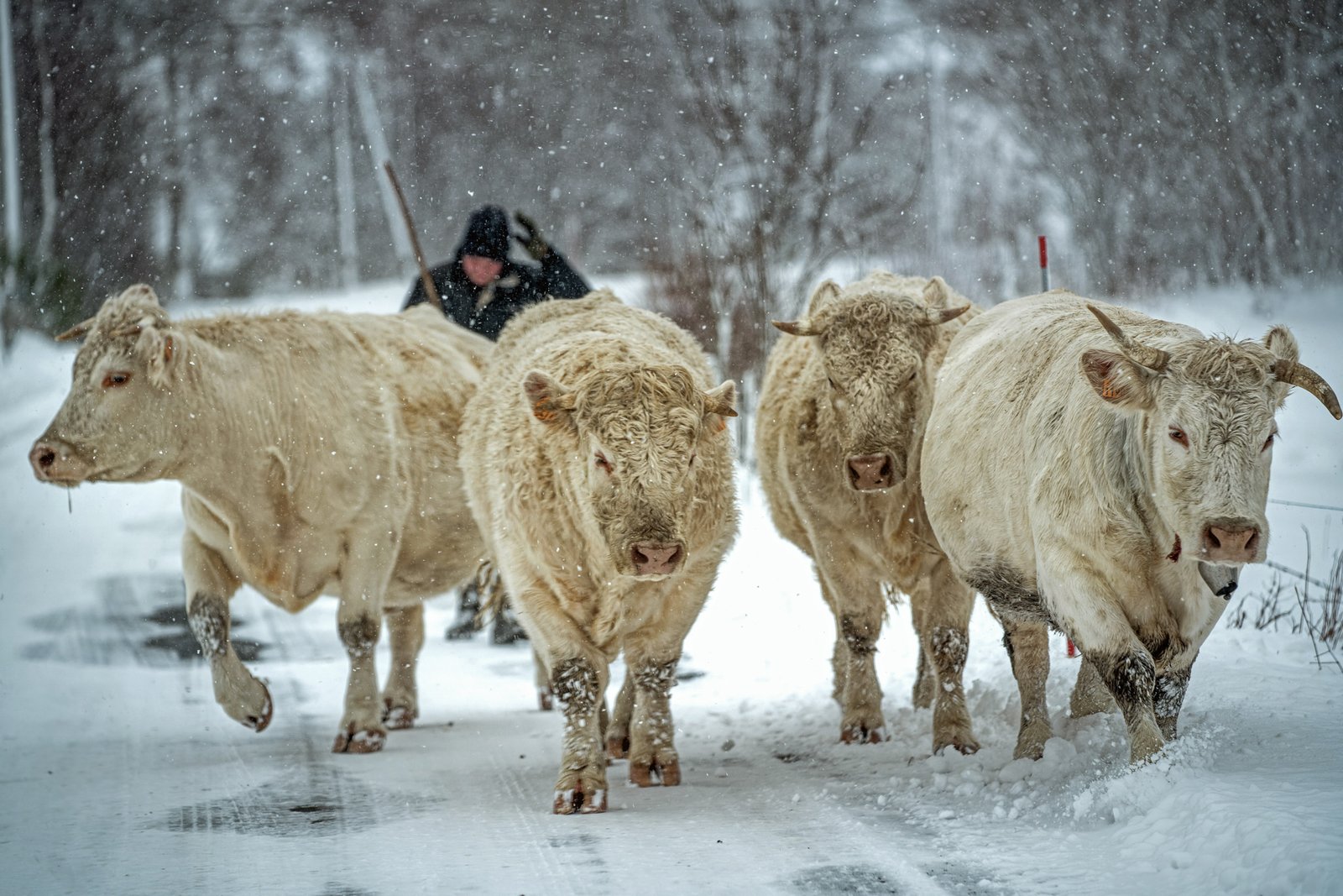 Photographe tourisme Lozère - Jean Sébastien Caron