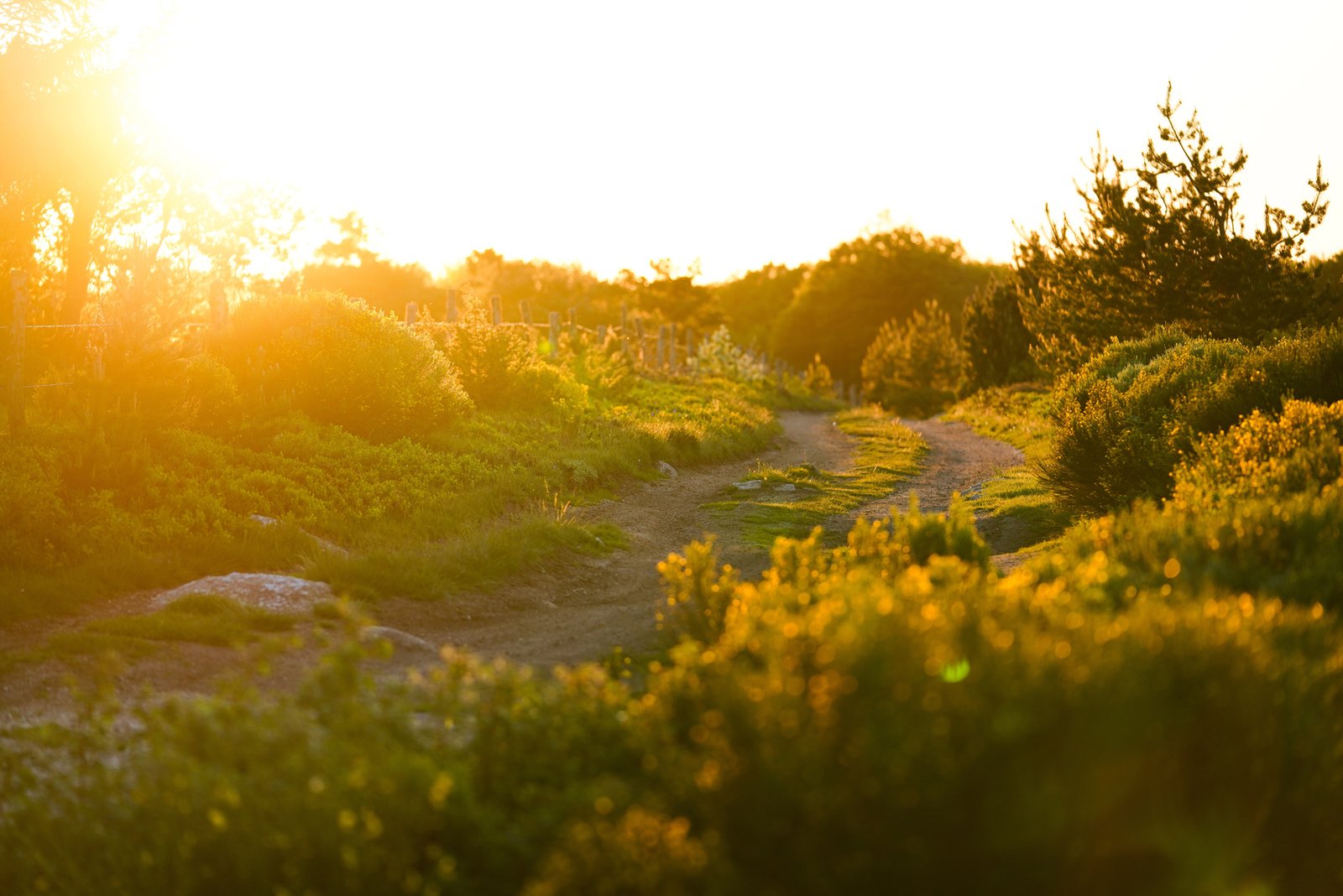 Photographe tourisme Lozère - Jean Sébastien Caron