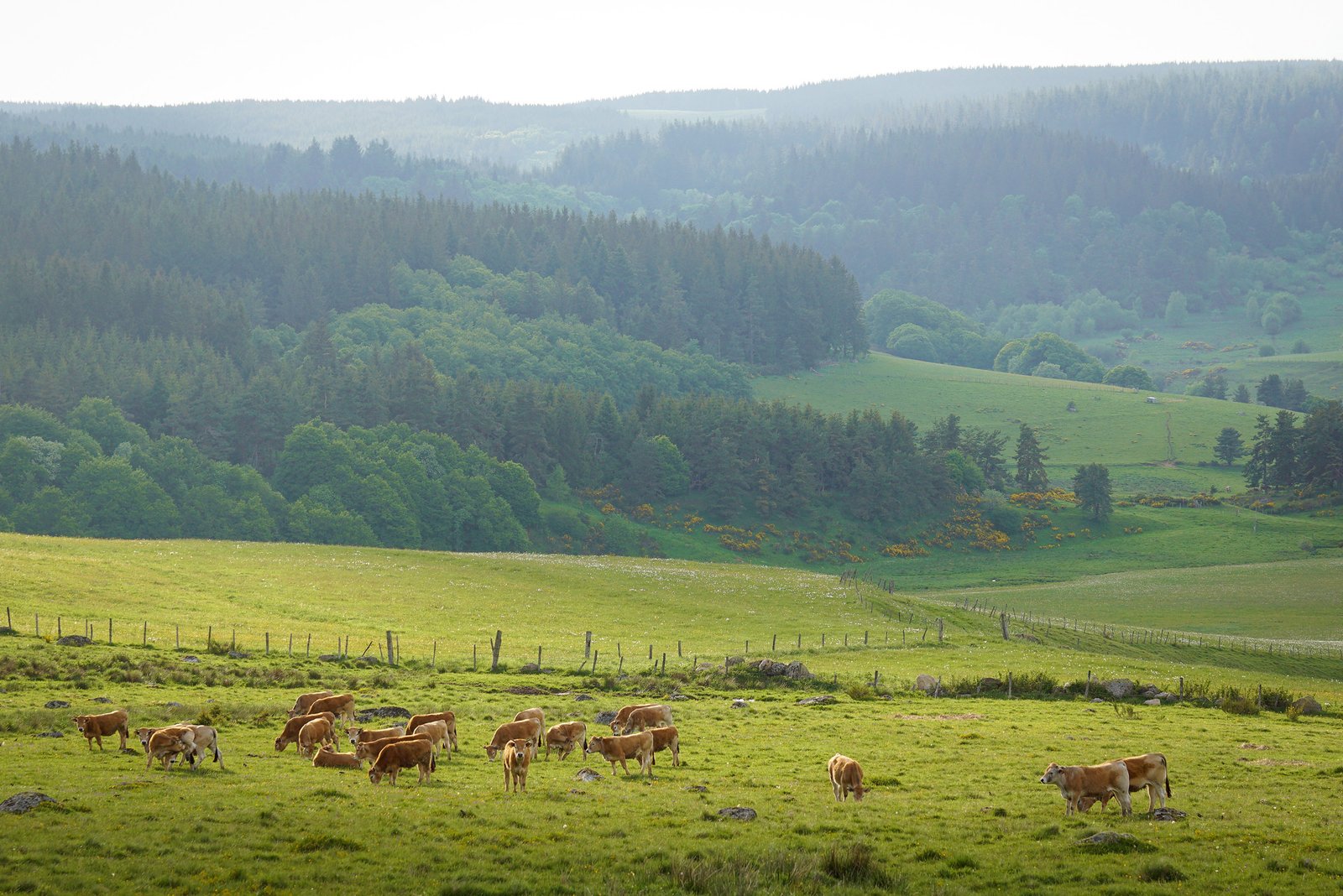 Photographe tourisme Lozère - Jean Sébastien Caron
