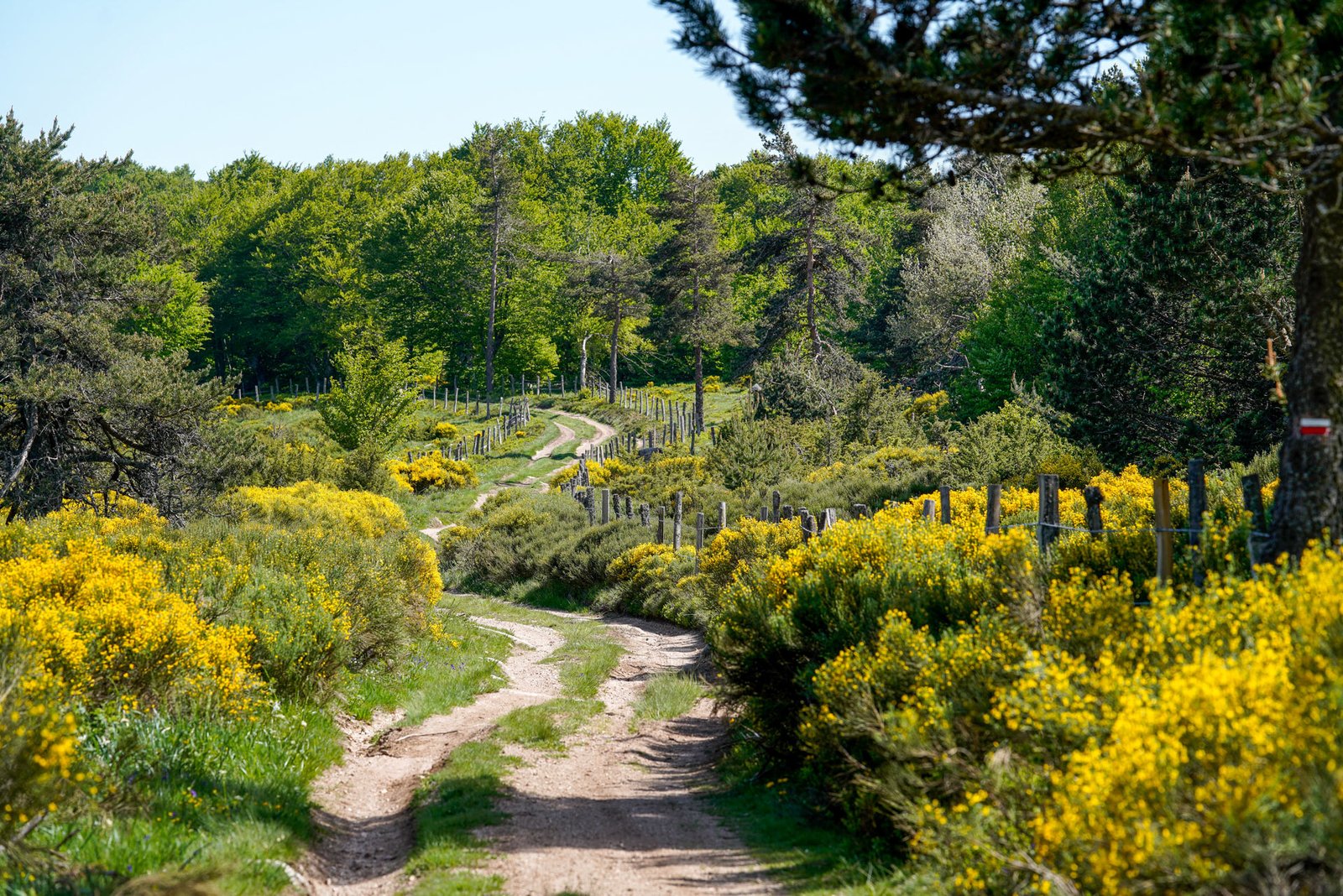Photographe tourisme Lozère - Jean Sébastien Caron