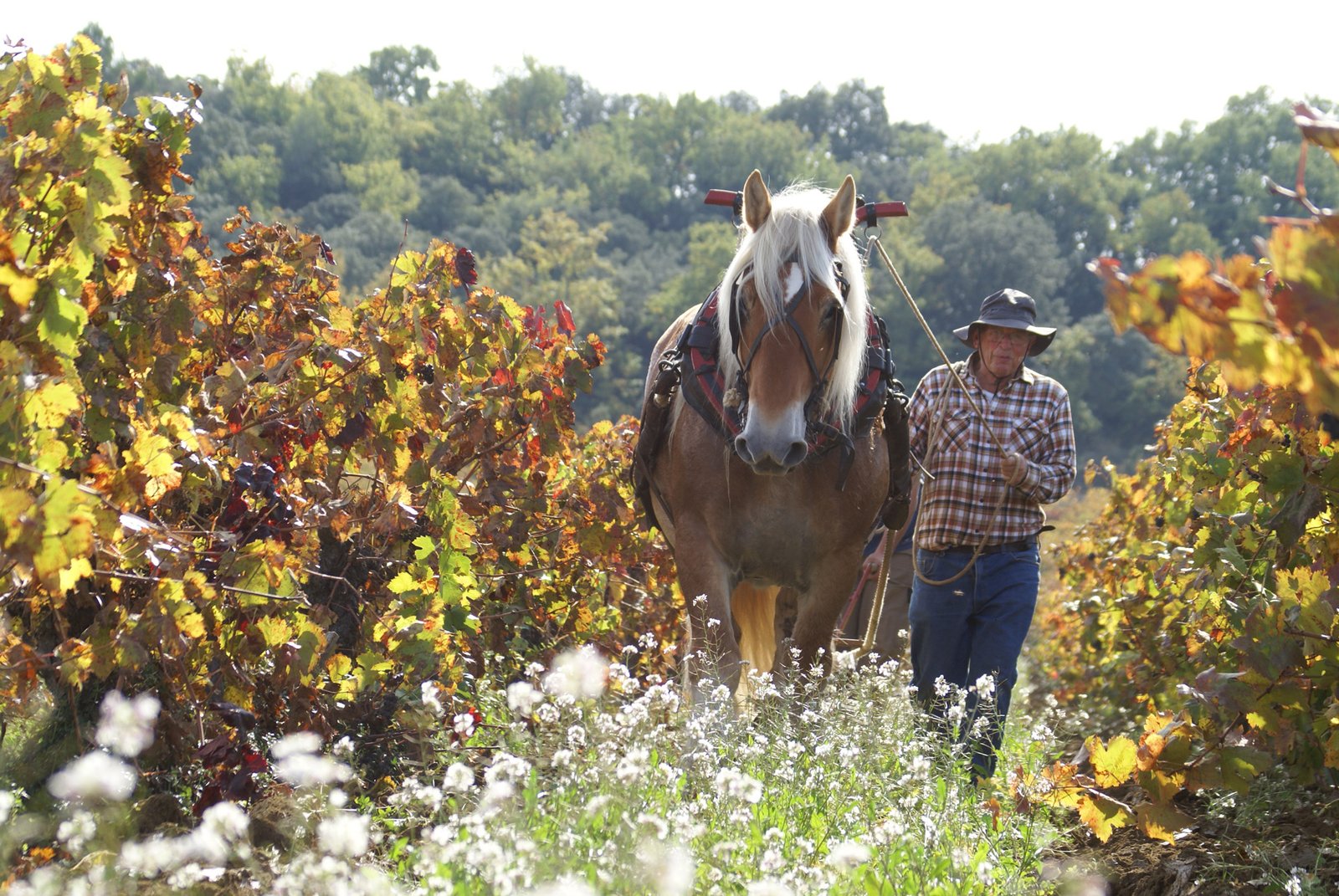 Photographe patrimoine Lozère - Jean-Sébastien Caron