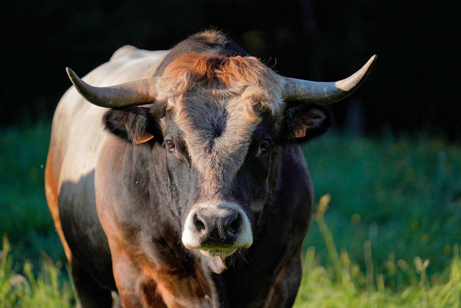 Photographe Lozère - Jean Sébastien Caron